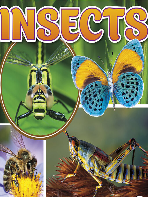 Title details for Insects by Janet Riehecky - Wait list